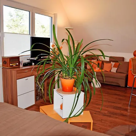 Gutshaus_appartements Mit Kamin_ S